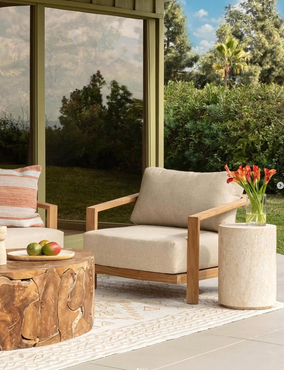 The Unexpected Journey of the Cotta Collection